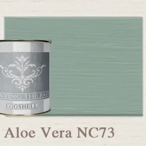 Nu Kopen Painting The Past Eggshell Aloe Vera